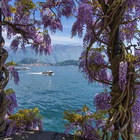Fronte Apartment